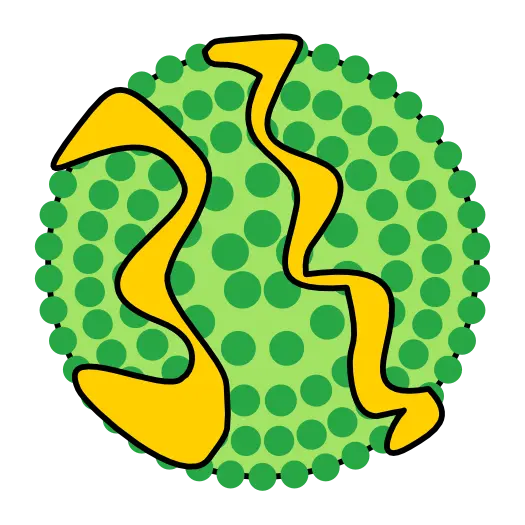 Lipoprotein Particle Stimulus