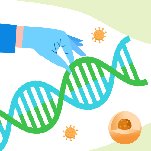 CRISPR-EDITx基因编辑平台