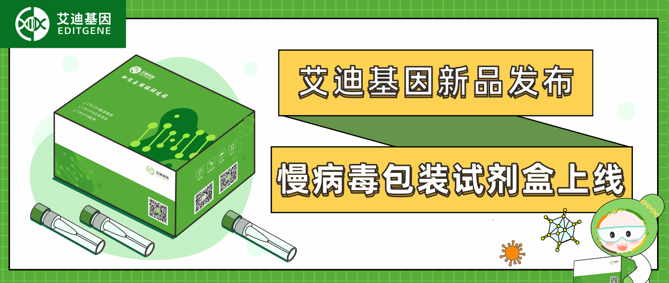 新品发布| 艾迪基因慢病毒包装试剂盒全新上线！高滴度高效率，自主操作无忧下游实验！