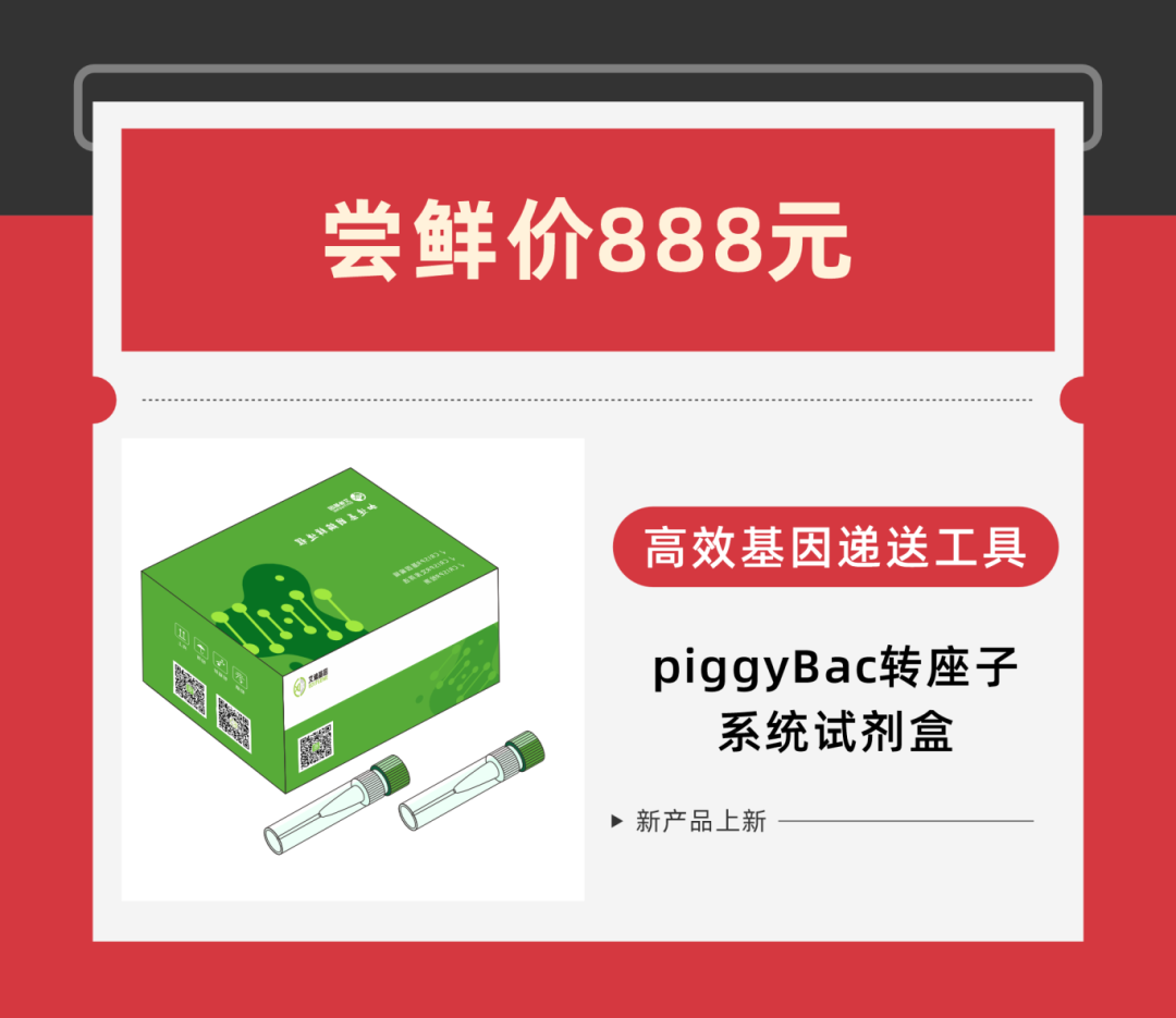 piggyBac转座子系统试剂盒