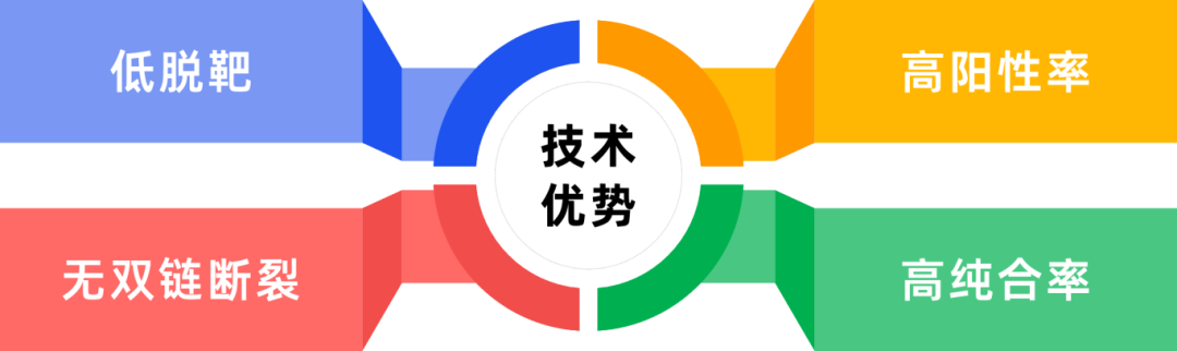 艾迪基因Bingo™ CRISPR点突变细胞系构建