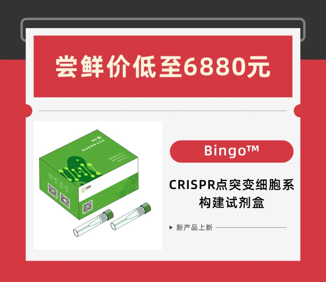 Bingo™ CRISPR点突变细胞系构建试剂盒