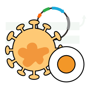 定制文库礼包（质粒文库+病毒包装+细胞文库+筛选测序）