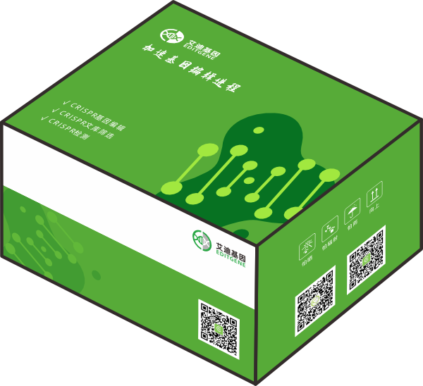 极速敲除试剂盒