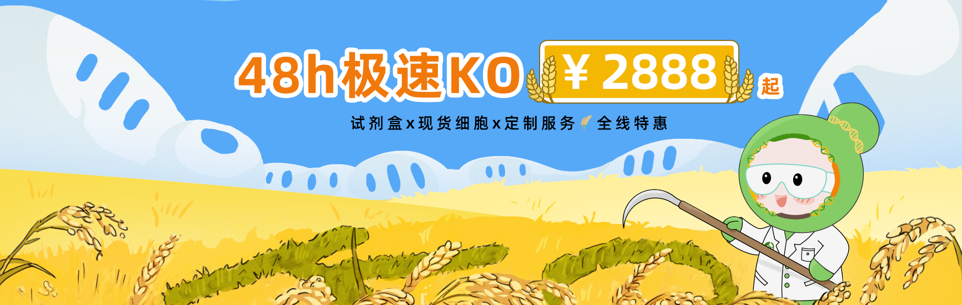 48h极速KO￥2888起