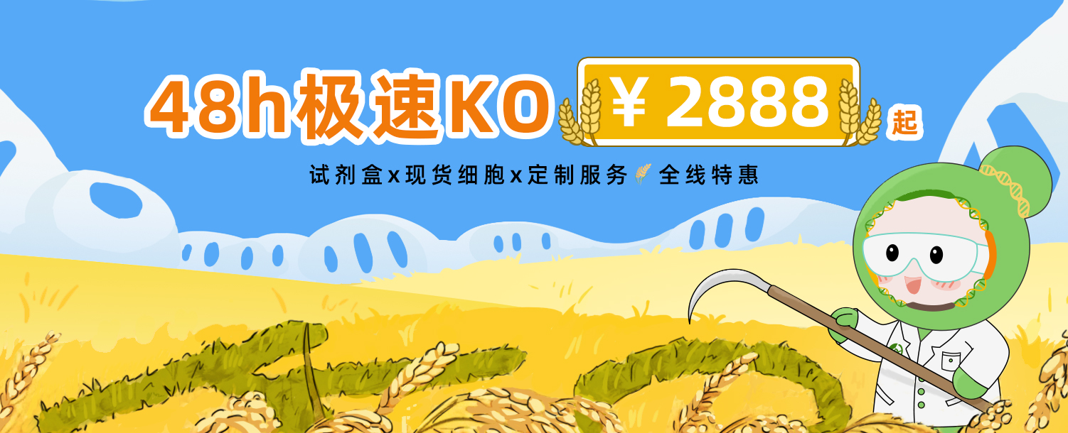 48h极速KO￥2888起