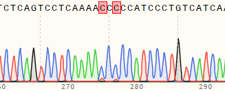 使用先导编辑在A549细胞中构建双位点突变细胞系测序峰图
