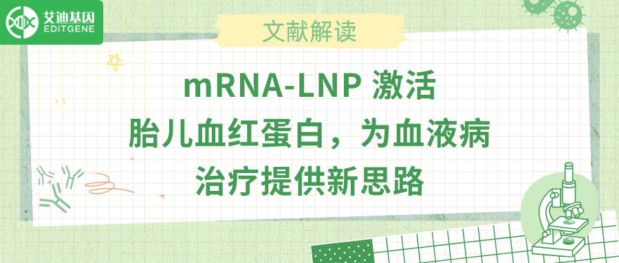 mRNA-LNP 激活胎儿血红蛋白，为血液病治疗提供新思路