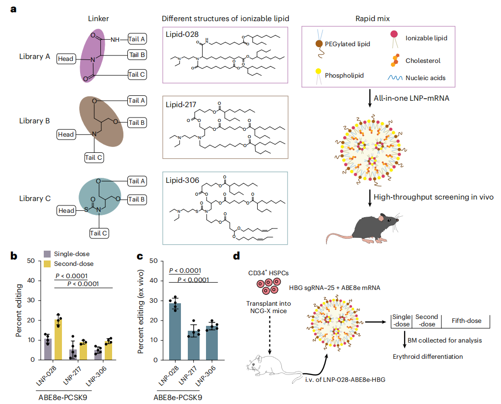 筛选和制备含Lipid-168的mRNA和sgRNA