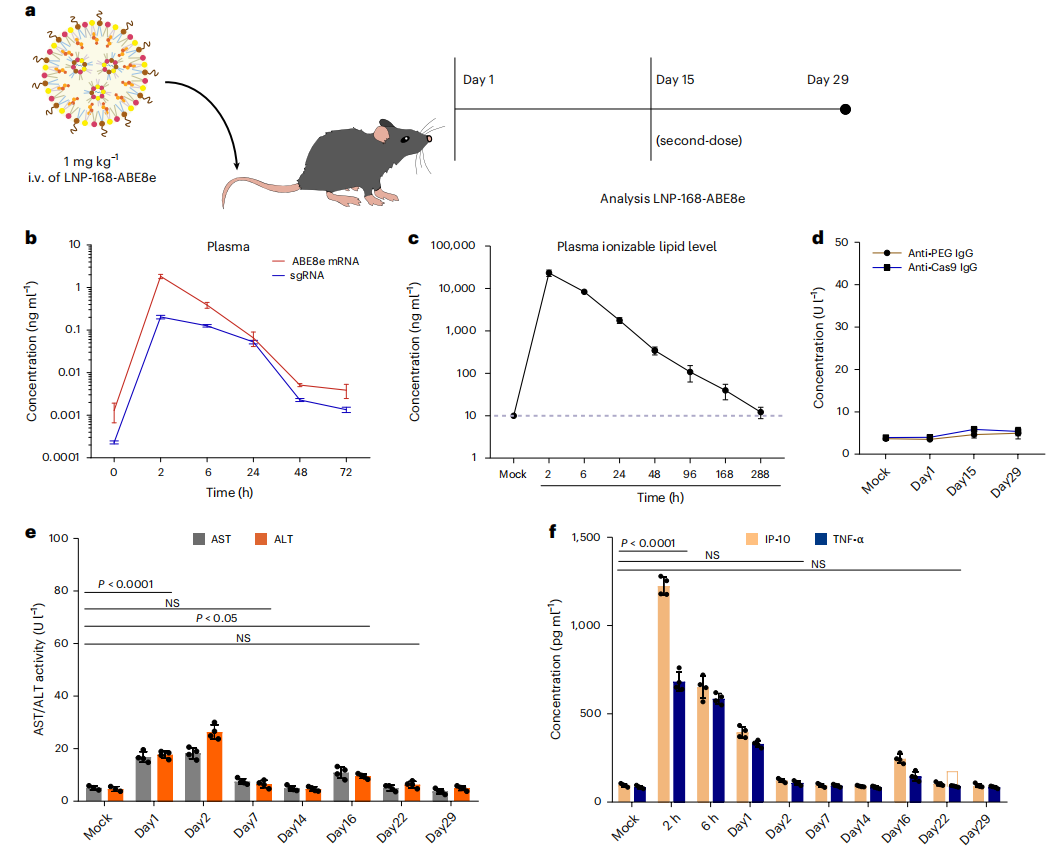 不同时间收集小鼠体内血清/血浆进行安全评估