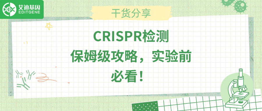 CRISPR检测保姆级攻略，实验前必看！