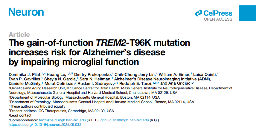 The gain-of-function TREM2-T96K mutation increases risk for Alzheimer’s disease by impairing microglial function
