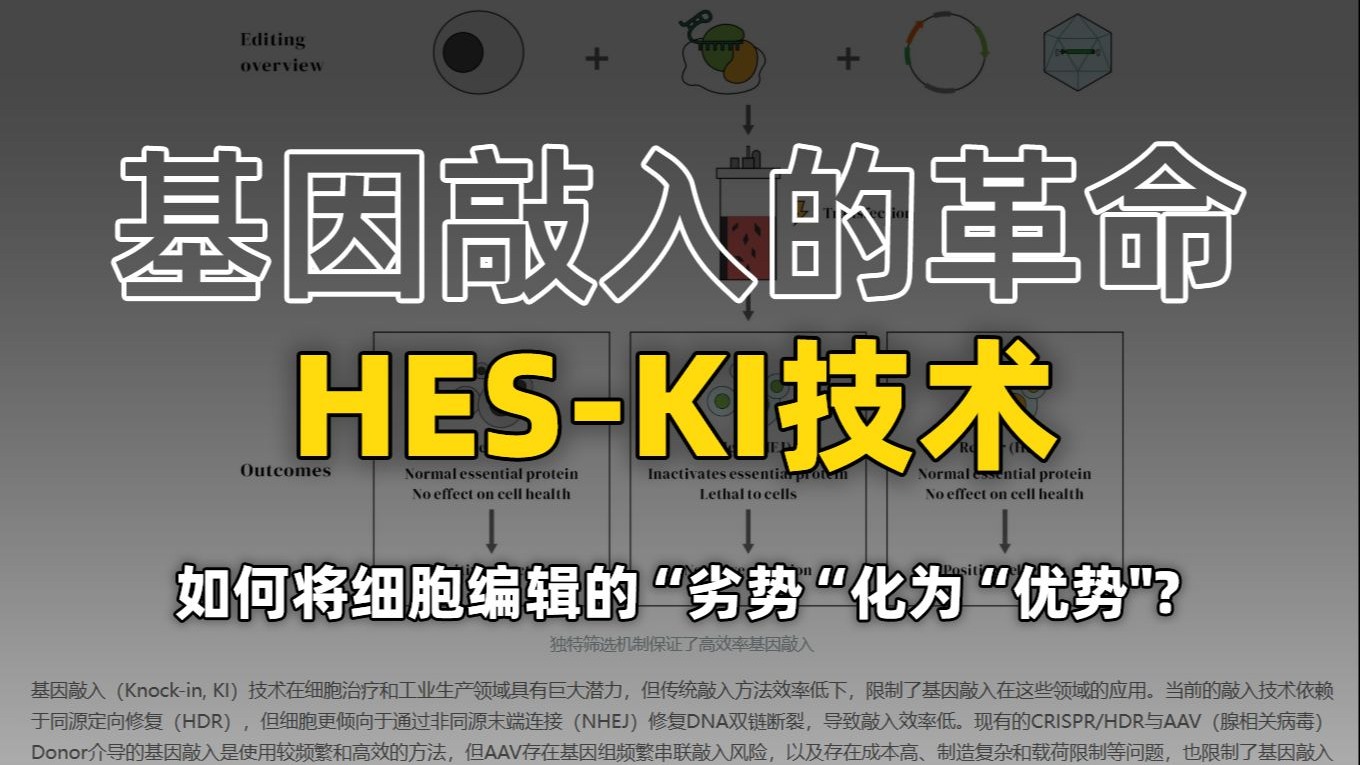HES-KI：一种利用细胞生存压力实现高效基因敲入的筛选策略