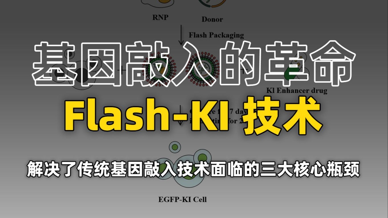 基因敲入效率暴涨20%？Flash-KI真有这么神吗