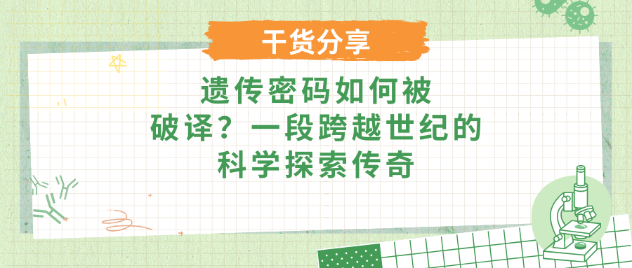 遗传密码如何被破译？一段跨越世纪的科学探索传奇