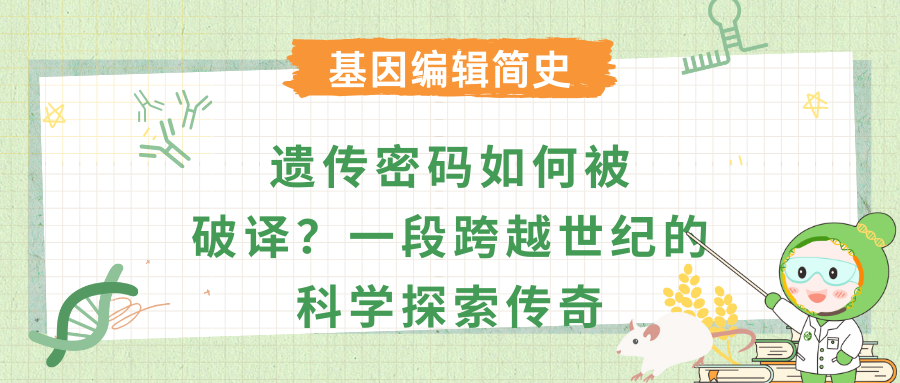 遗传密码如何被破译?一段跨越世纪的科学探索传奇
