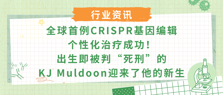 全球首例CRISPR基因编辑个性化治疗成功!出生即被判“死刑”的KJ Muldoon迎来了他的新生