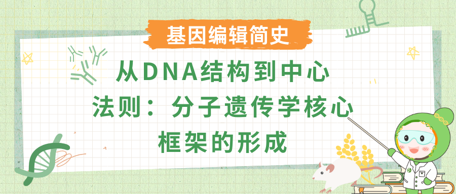 从DNA结构到中心法则：分子遗传学核心框架的形成