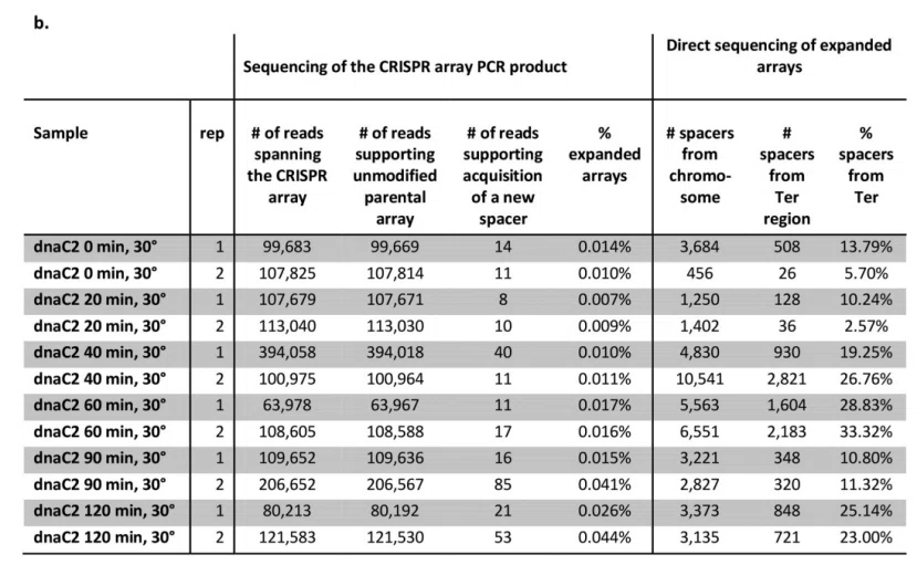 间隔片段获取偏好与复制叉位置关联性实验