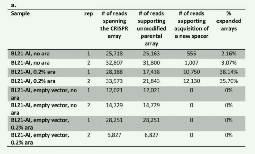验证Cas1、Cas2与间隔序列获取的关联性实验