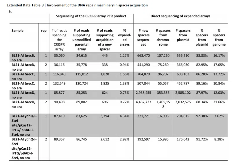 间隔序列获取与RecBCD复合物活性关联性实验