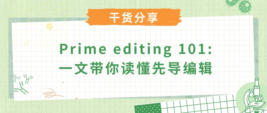 Prime editing 101：一文带你读懂先导编辑