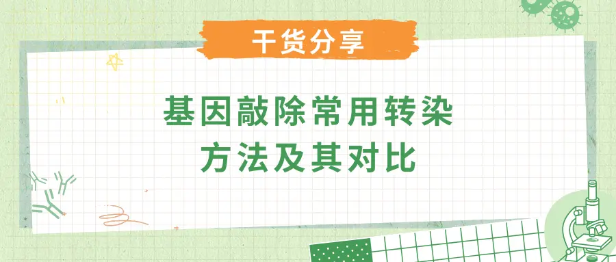 基因敲除常用转染方法及其对比