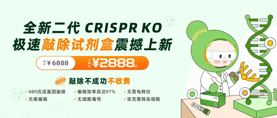 艾迪基因Flash Pro极速敲除试剂盒