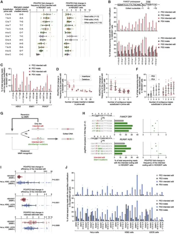 Editing Efficacy of the PE4max and PE5max Systems