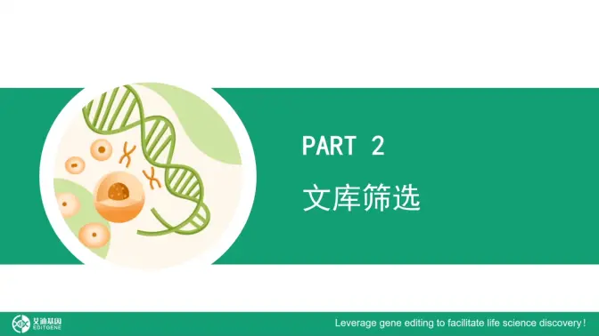 带你轻松掌握CRISPR文库筛选技巧