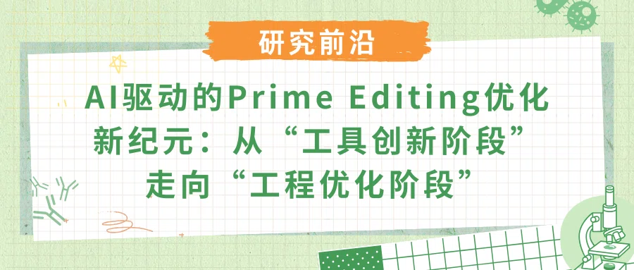 AI驱动的Prime Editing优化新纪元：从&ldquo;工具创新阶段&rdquo;走向&ldquo;工程优化阶段&rdquo;
