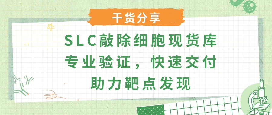 SLC敲除细胞现货库，专业验证，快速交付，助力靶点发现