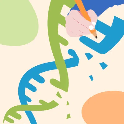 FLASH递送系统技术平台