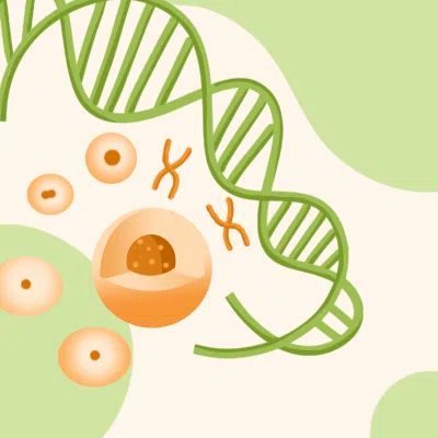 高效定点整合平台