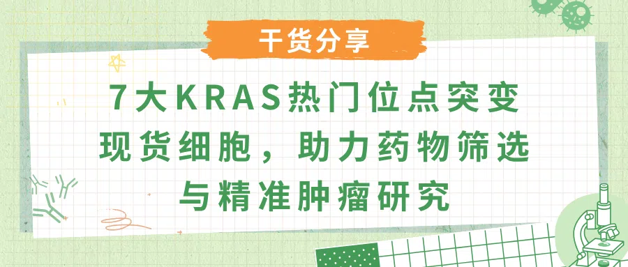 7大KRAS热门位点突变现货细胞，助力药物筛选与精准肿瘤研究