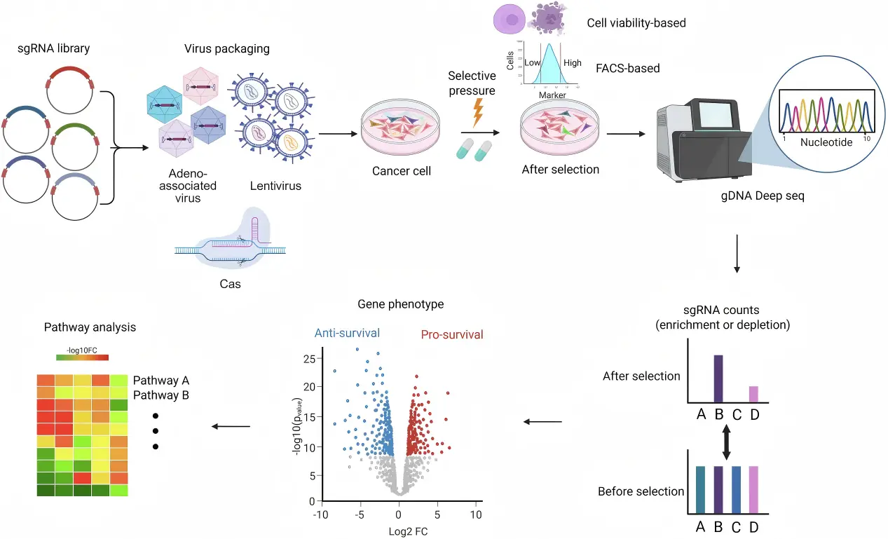 Park et al., Exp Mol Med, 2025