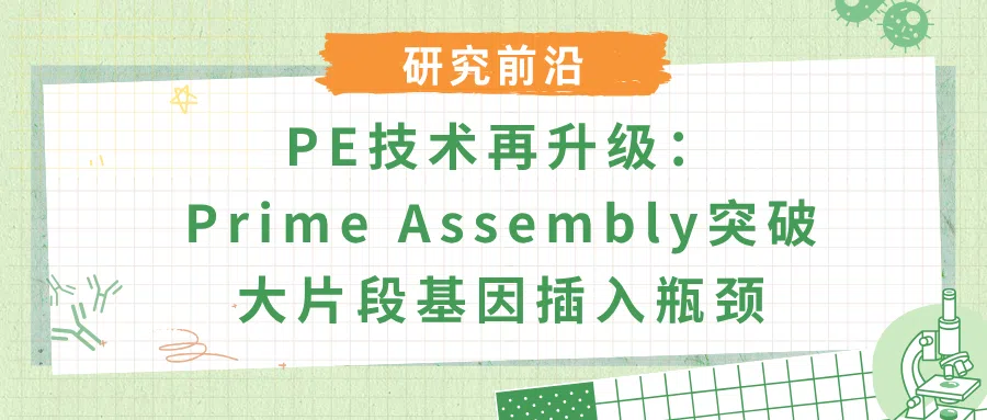 Prime Assembly大片段基因组插入技术