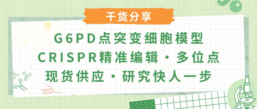 G6PD代谢通路