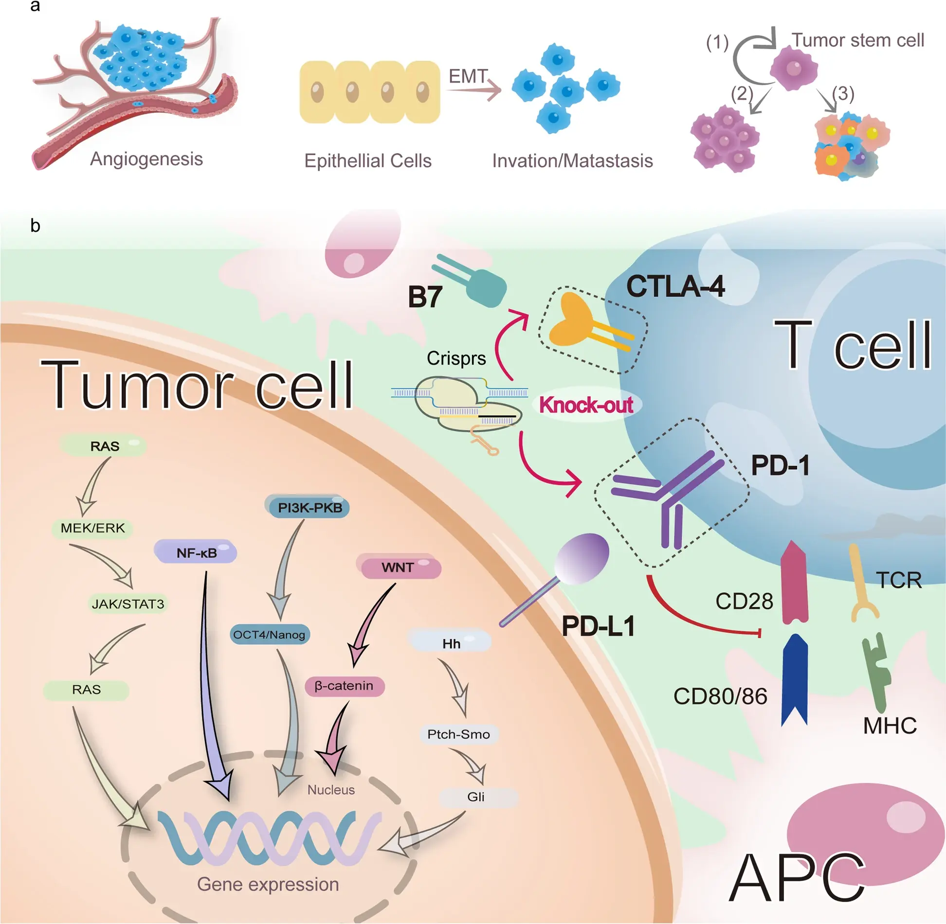 Park et al., Exp Mol Med, 2025