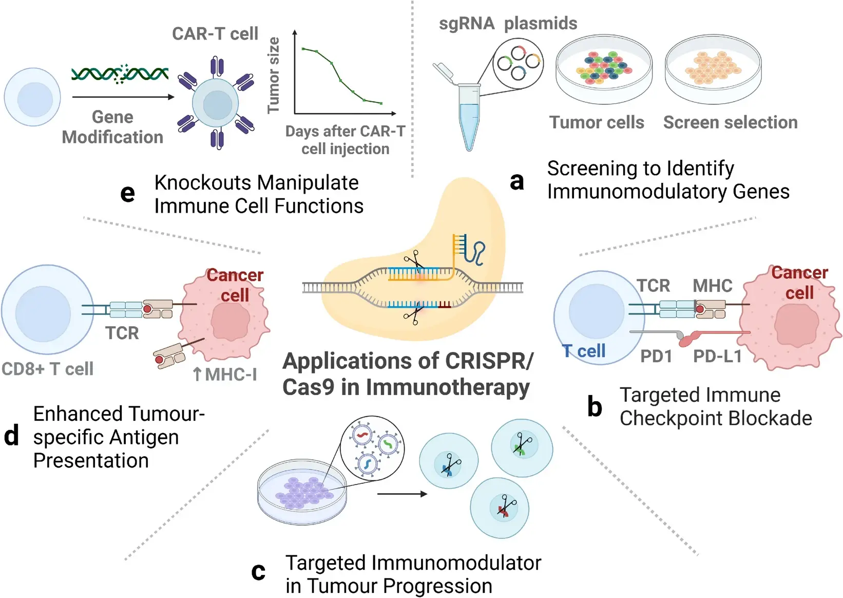 Park et al., Exp Mol Med, 2025
