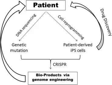 Cai et al., Genes Dis, 2016