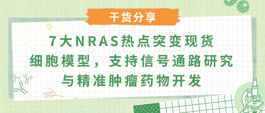 NRAS基因与蛋白质功能