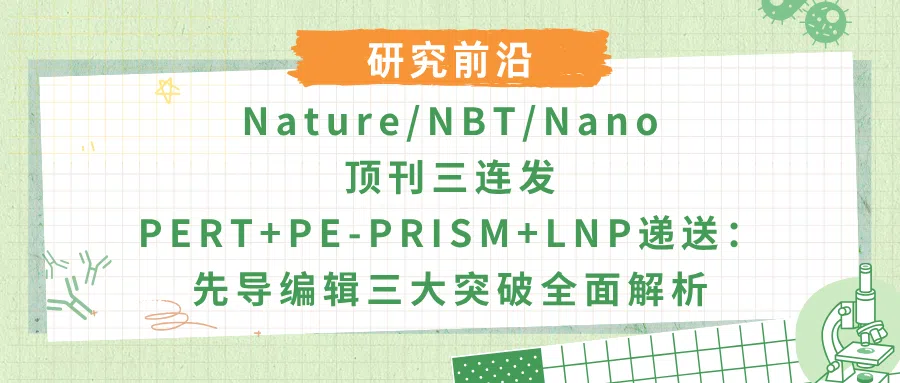 先导编辑三大突破