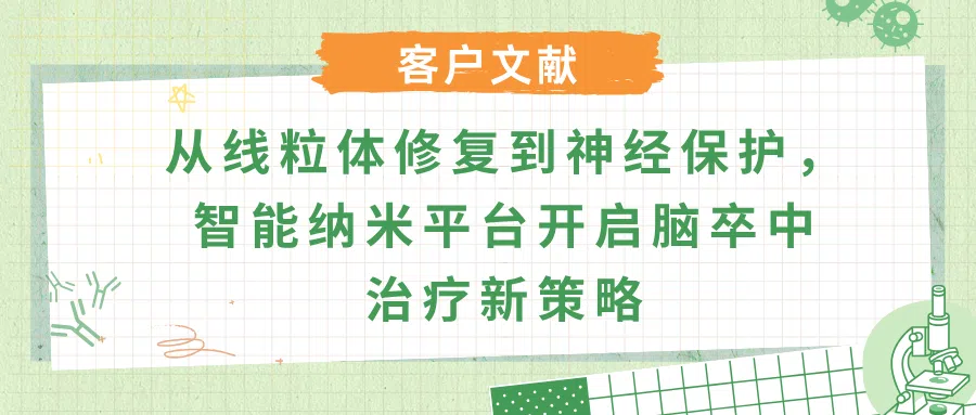 缺血性脑卒中铁死亡调控