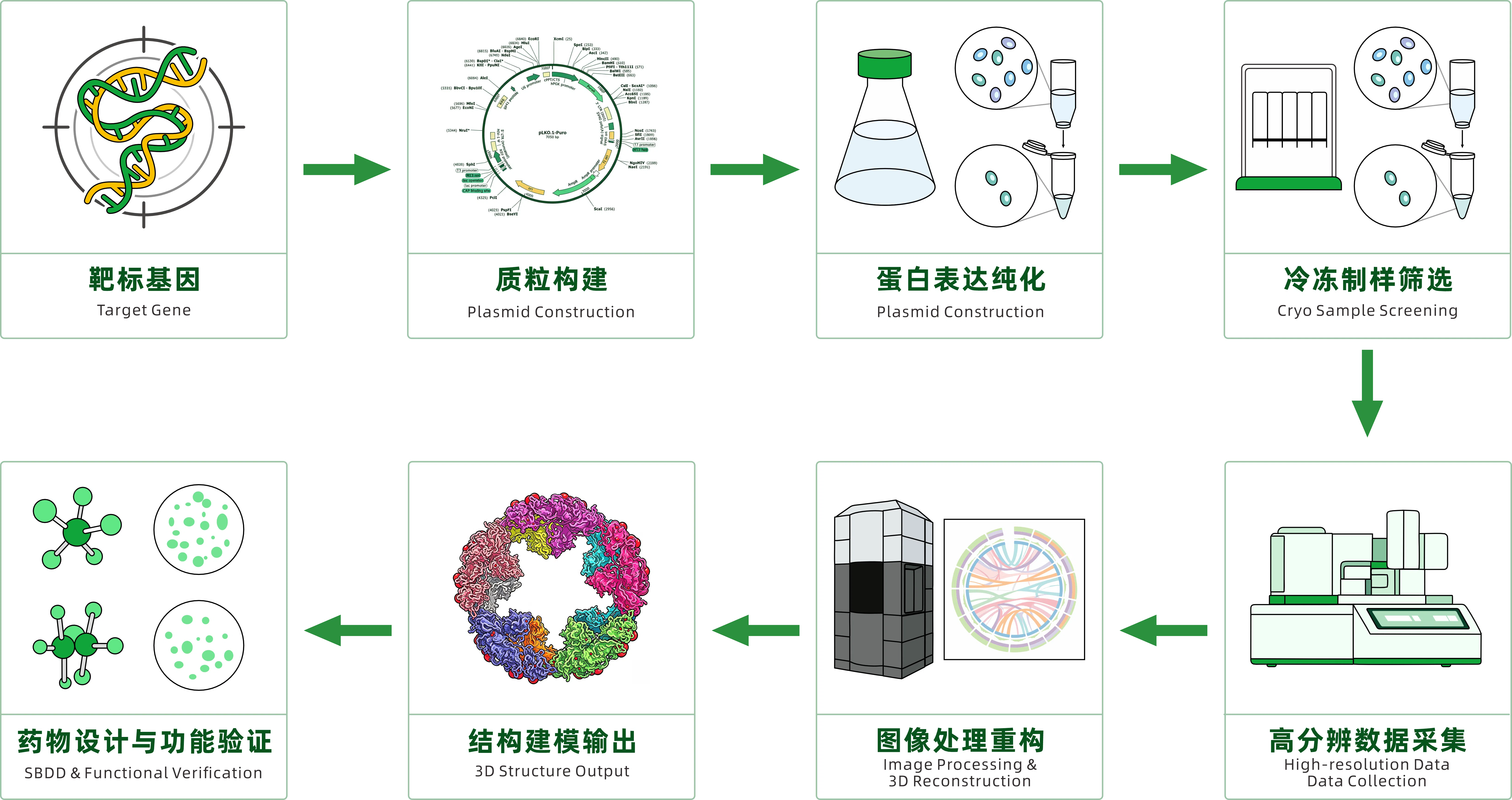 全流程闭环服务流程图