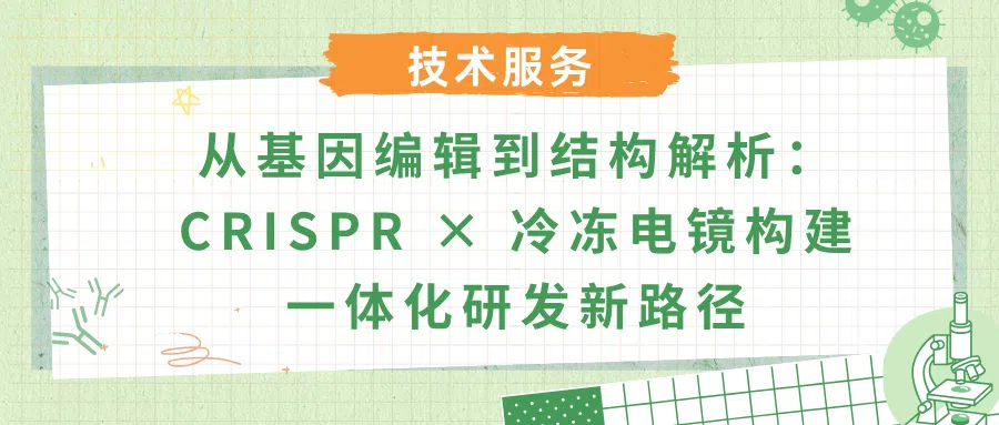 CRISPR&times;冷冻电镜技术平台