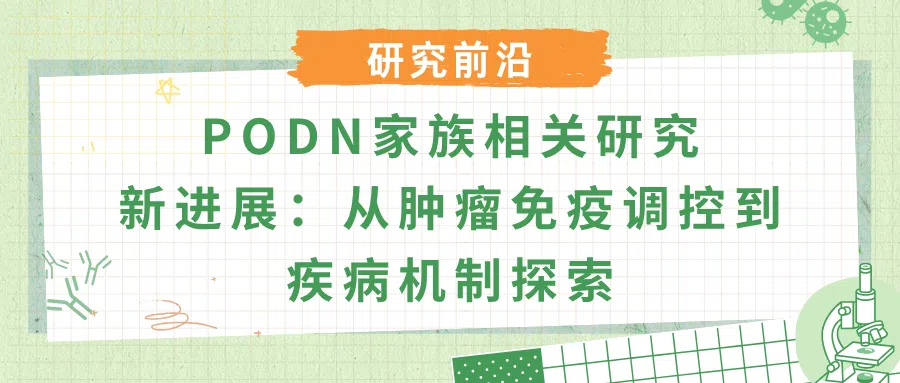 PODN家族基因研究