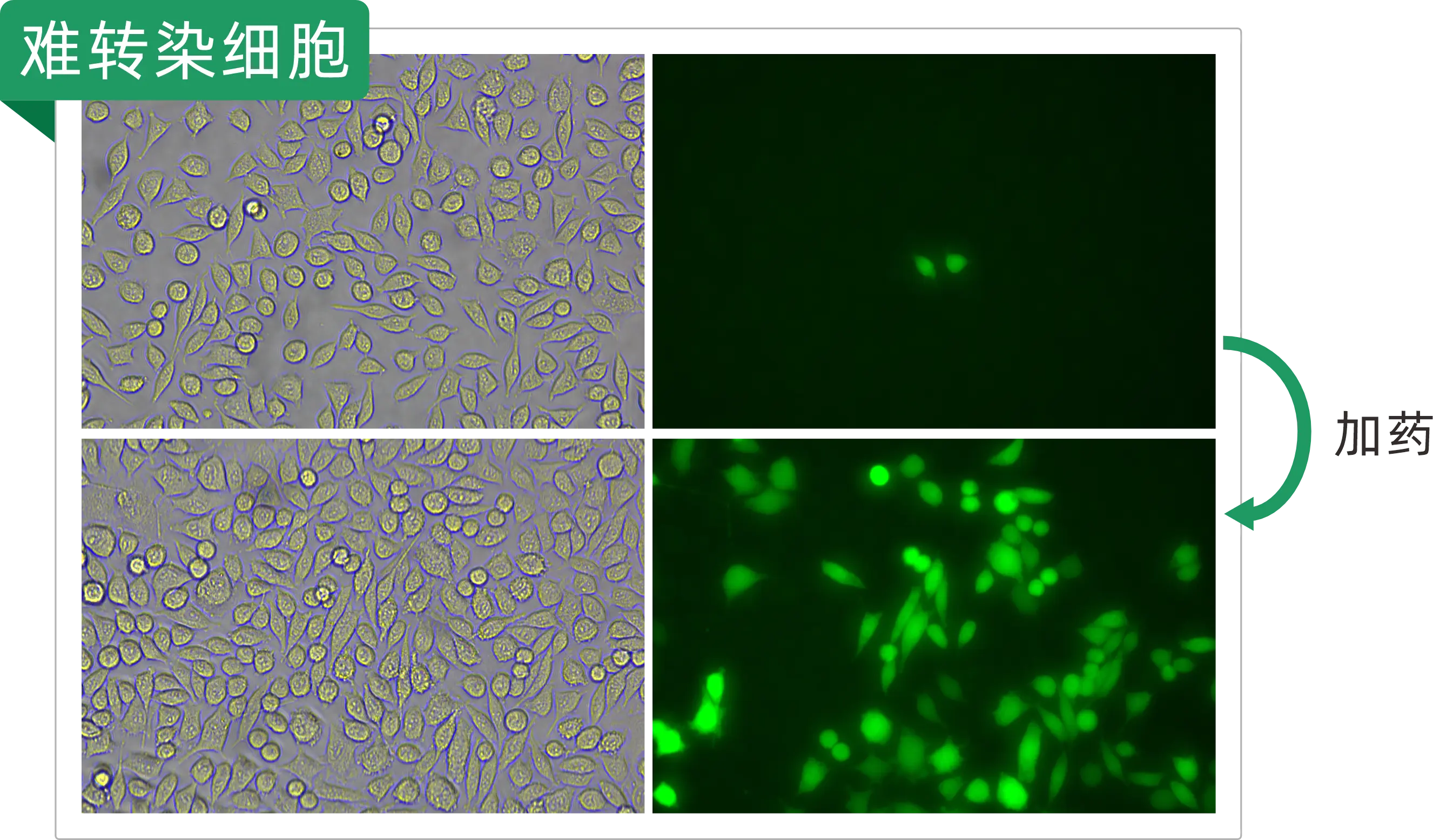 KI Enhancer 实测对比 A-9/T1R1