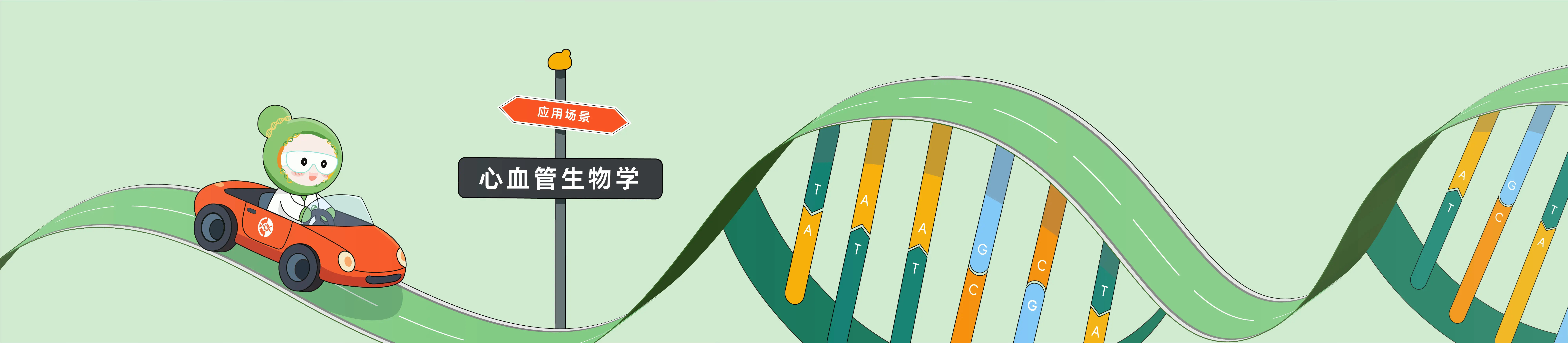 CRISPR在心血管生物学中的应用