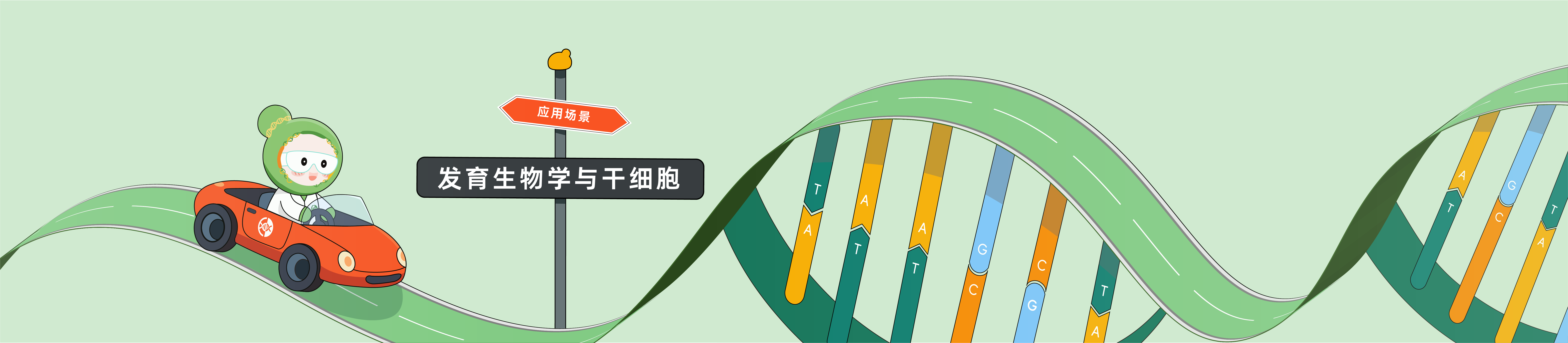 CRISPR驱动的发育生物学与干细胞研究